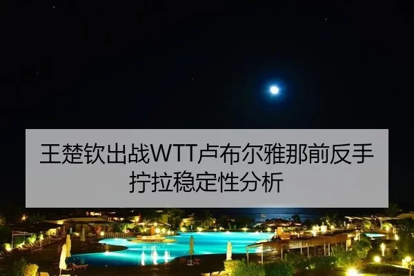 王楚钦出战WTT卢布尔雅那前反手拧拉稳定性分析